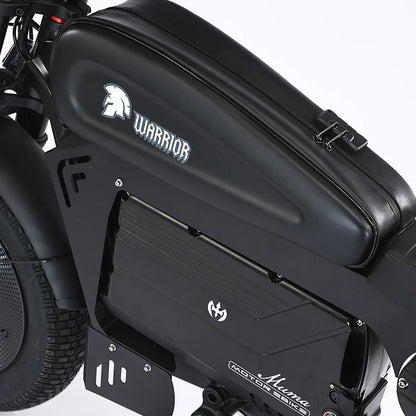 Electric Bikes Up to 3000W 60V 45AH Black Warrior