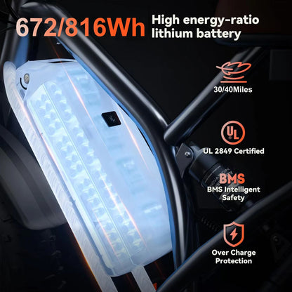 30MPH 1000W Peak Motor Electric Bicycle Adult 20*4 Inch Fat Tire