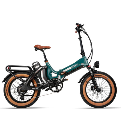 Multifunctional Long Endurance Electric Bike 48V13AH+16AH