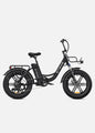 Fat Tire 140km Mileage Mountain Electric Bike