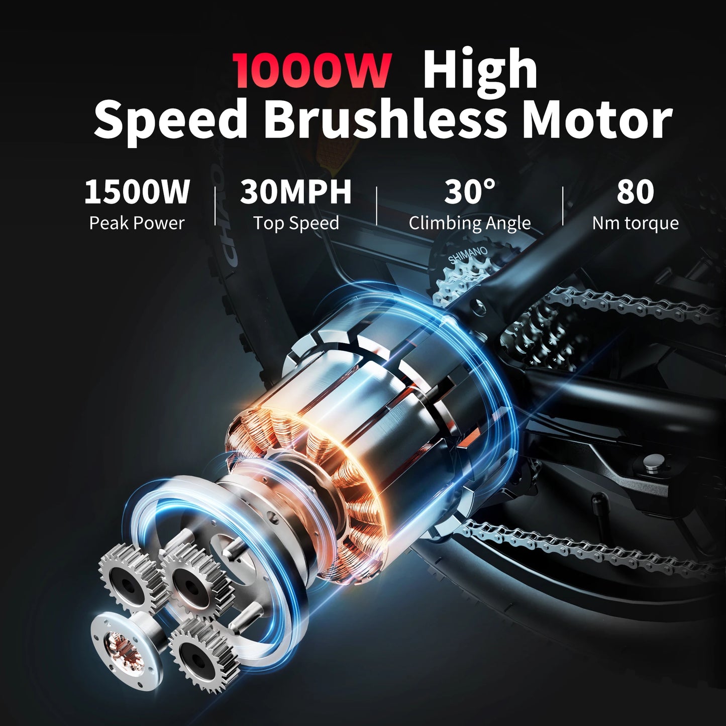 Adults Electric Bike 1000W Motor 48V 20AH 20“ Tire