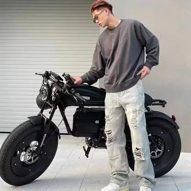 Adult Highway Electric Bike 20-inch Off-Road Fat Tires Ebike