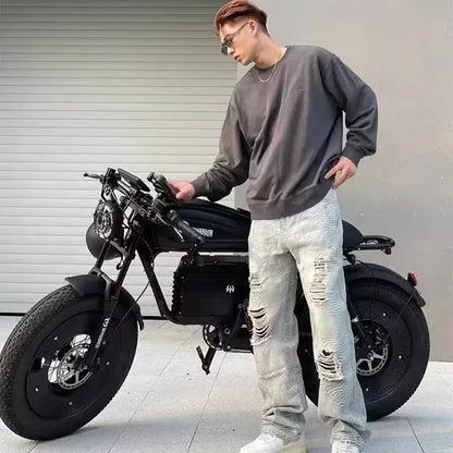 Adult Highway Electric Bike 20-inch Off-Road Fat Tires Ebike