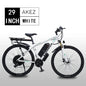 Detachable 13Ah Battery Electric Bike 60 Mile Range Dual Disc Brake Alloy