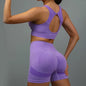 2 Pcs Yoga Set Women Hollow Back Sports Bra+Hip