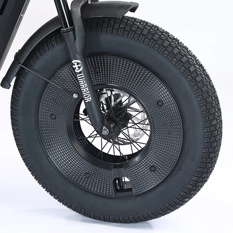 Electric Bikes Up to 3000W 60V 45AH Black Warrior