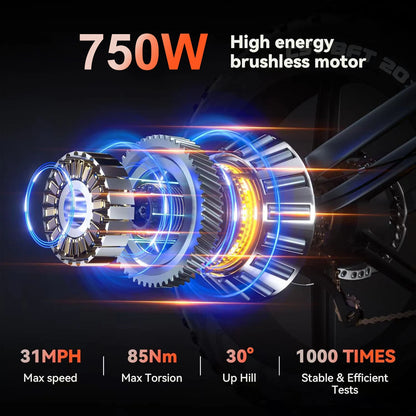 30MPH 1000W Peak Motor Electric Bicycle Adult 20*4 Inch Fat Tire